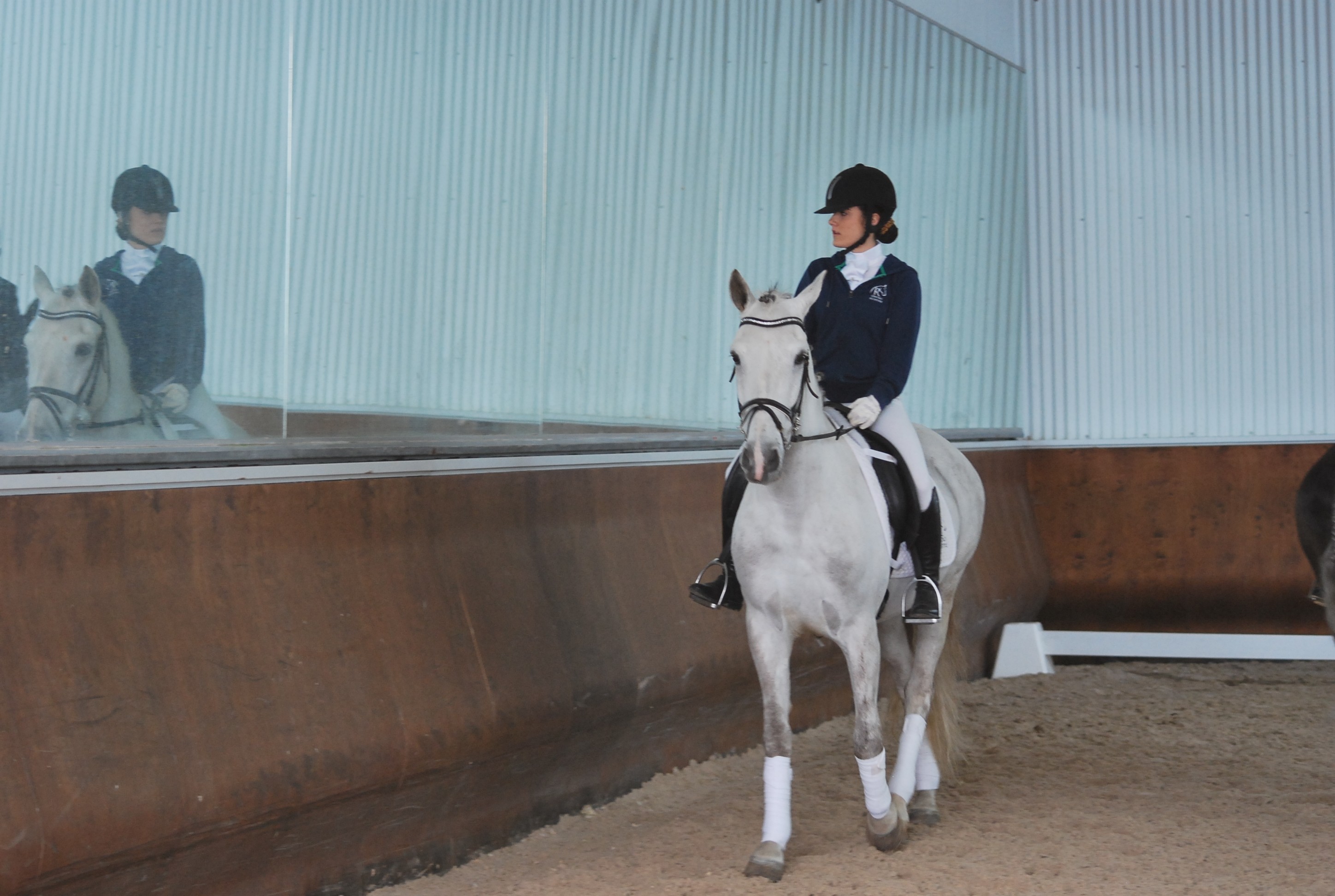 Clasificaci&oacute;n 1&ordf; fase Liga Navarra Doma Cl&aacute;sica Niveles 1-5 y JJDD 2014